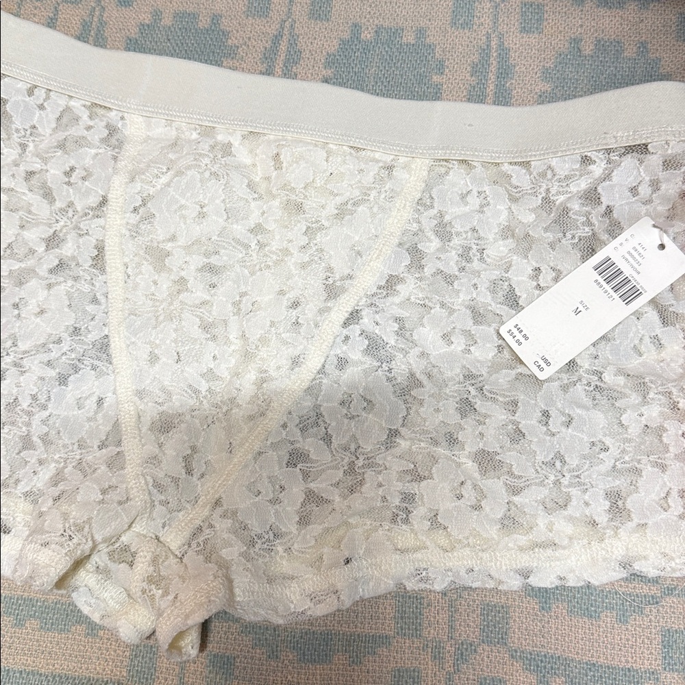 Anthro lace hipster boyshort